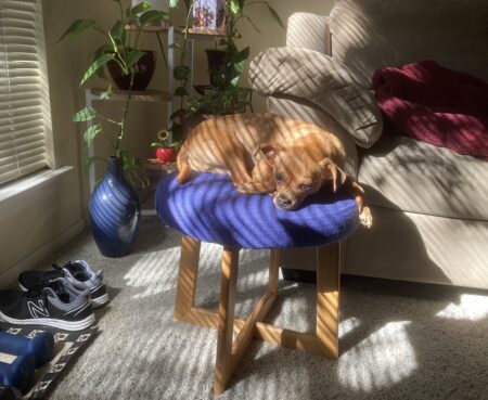 66292397164 23 F48 FF7 7 B57 4 C0 C 9 A9 F A9 BFD2 CE60 BA