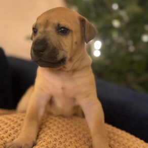 6636c04b8a96c27161d5df713800f49a