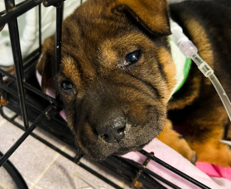 66569846559 98 F5 C5 D0 D367 487 D 847 F 1 A2 BD3 C1 EE03