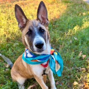 6988e8c63134f22f9ea9d477d3570ef8