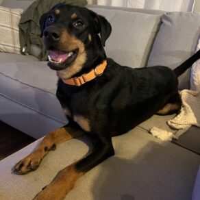 69aa9d375a2b16d7e6832f1bdf9396ed