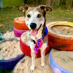 6ab3574bc60ce179d230fa83f1f8f888