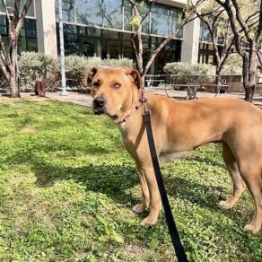 6c31bfe00f988d8180960fefb5c5d918