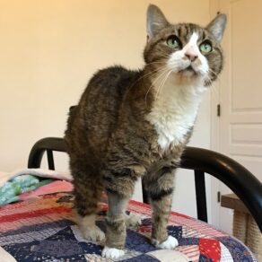 6c8d6ec2baa4dc6a8e3042e14491de31