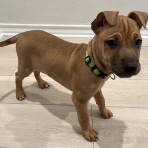 6d90a98bd9a7c6994bd7db6e196aafd3