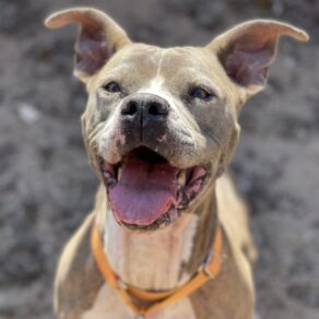 6df0d69b07db0bec8c49f8ee1664dc27