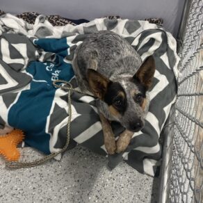 6e04fa9464ffddeed8e8532396b19f19