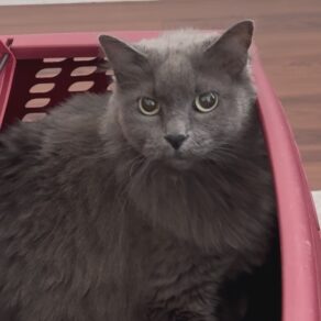 6e099c2f5d2ec53001cd254430142d56