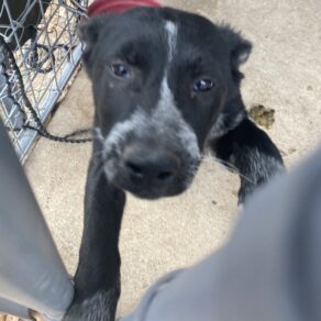 6ed495adadb1475a434205a48cbcc265