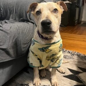 6f4f199110549456c1d21d050872cac7