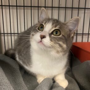 70a76c3da9e4744643b43883d0426f30