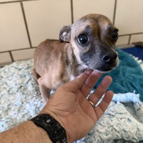 70b2763564cf8b51d01a322634fcef34