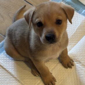 71527e8ea4522a14a0df06130b74f247