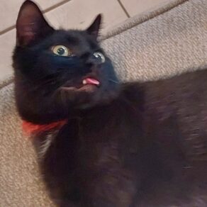 71c40599fbfa12c2e8e7614b770ea05d