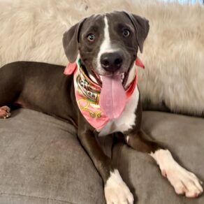 724da5a857adb0b4992fcb4fa4abe70e