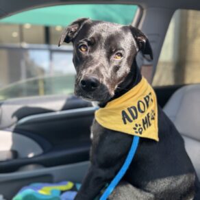 75566fa16717a1a4e51d5ea9f6862315