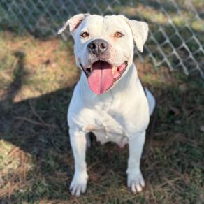 77b4e25f03a66ee0ec5a227afd5dd327