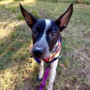 77f49069594540b88890a50b570e2846