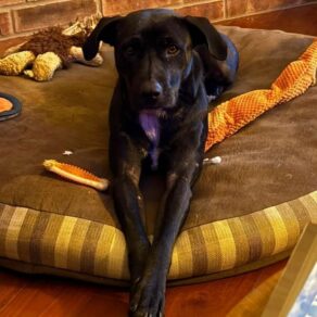 7d8835641454edff6f60872cd9a5404b