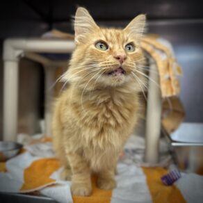 7d959c4945616f61d12041d1d693b0c6