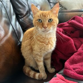 7e2b39af1fd66064ff39a586de6b3932