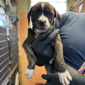 7ec2f566669733161136ce96893c7fcd