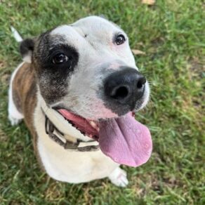 7f157f4920d540b2c2cb0547a88b5c1e