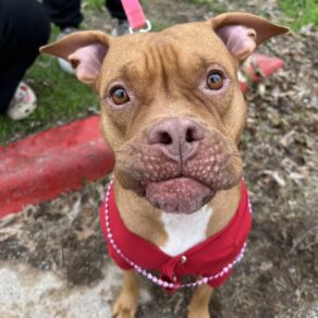 80cad9874b8363875a4a218917f31d21