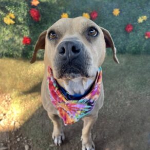 81c923f1925e89b159dc01e4b3467ac5