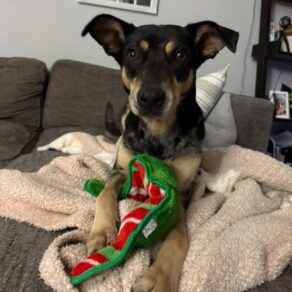 823ddd4f02e57a41193d6b71ad14aafd