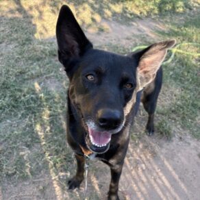 830dcf3a8926c129bd0c72699a009bec