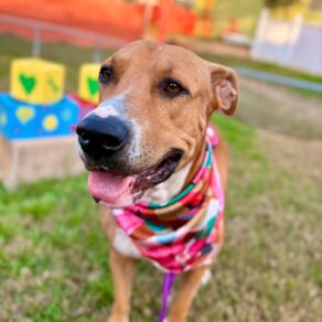 864448f8aa52603dfe557a612217b524