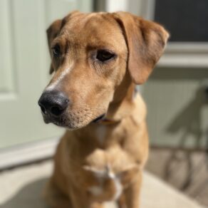 86615c3a4524d1389506829e12647eb6