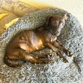 88458c01d5227c82d7d4ce26173cd402