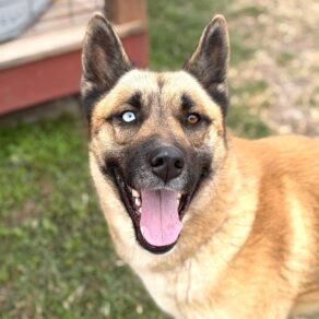 890bc841bdeb6a49762665aa4b5c57c3