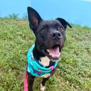 8b943f6417d18d981bcd607e011e4d7a