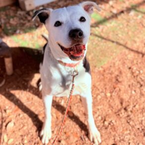 8cbe7cd969d1591dd0f99442799e8d77