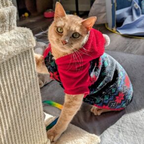 8cfe27c3276f20143d4c407e584067d0