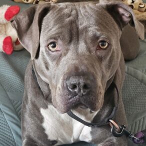 8d0d0f4c55f66929664b94de9680c1e8