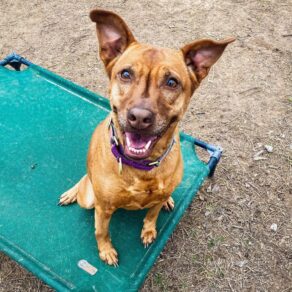 8f3635b10856e4fe6eb703d40d41956e