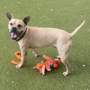 8f91dc70d2c1782a33f418d0378e4dd8