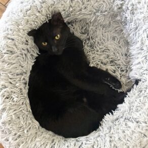 912ca61753aa49f2888d4955157d6494