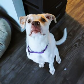 9357fbc4f6ceb52382566ad3ef3b8e26