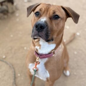 959b56888ddc07078050c9b36b9fe83f