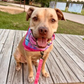 95ef30e35fc7330f518e40f9db414b7d