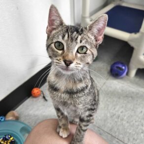 967125aef5cd78b83ee3a171ee005a7e