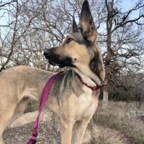 96e8c03fb7329f6cd585979bc9d0f046