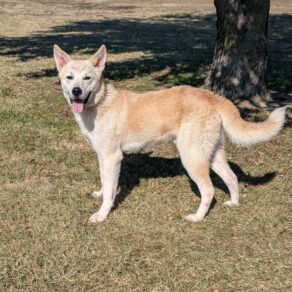 99a8d54b14cb7dc7d4c7a035cfe8353a