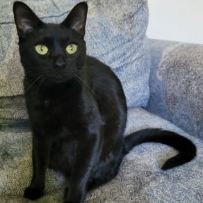 9b81030e738b3e6db068a270175206b0