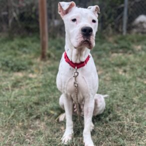 9c917143970c298c6ab3740594e7f84f